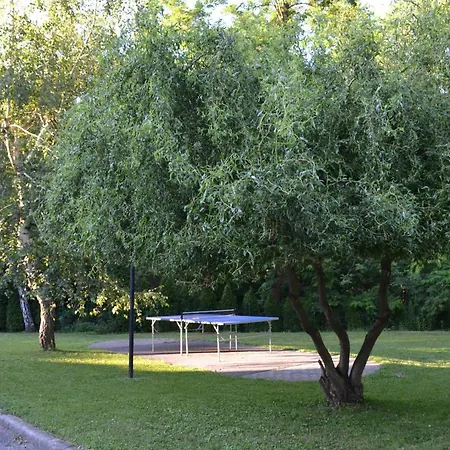 Sabaria Vadasa Panzio *